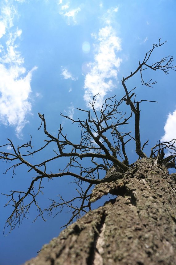 nnz-Sonntagsspaziergang zwischen Himmelgarten und Leimbach