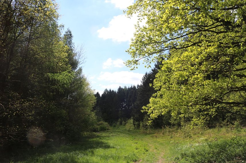 nnz-Sonntagsspaziergang zwischen Himmelgarten und Leimbach