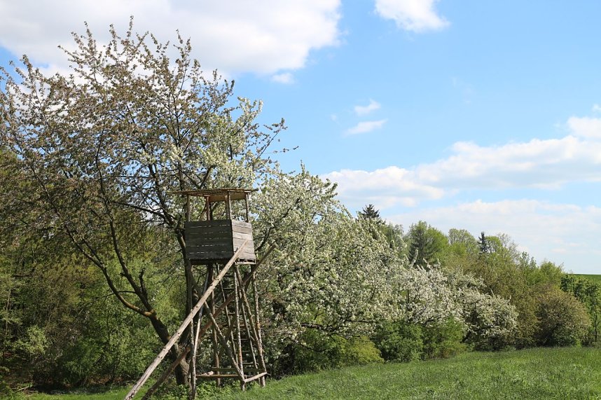 nnz-Sonntagsspaziergang zwischen Himmelgarten und Leimbach