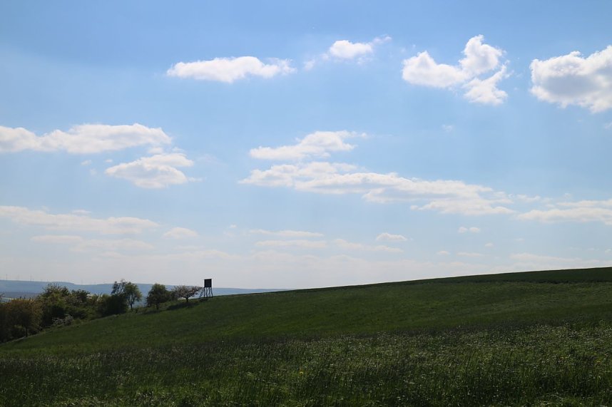 nnz-Sonntagsspaziergang zwischen Himmelgarten und Leimbach