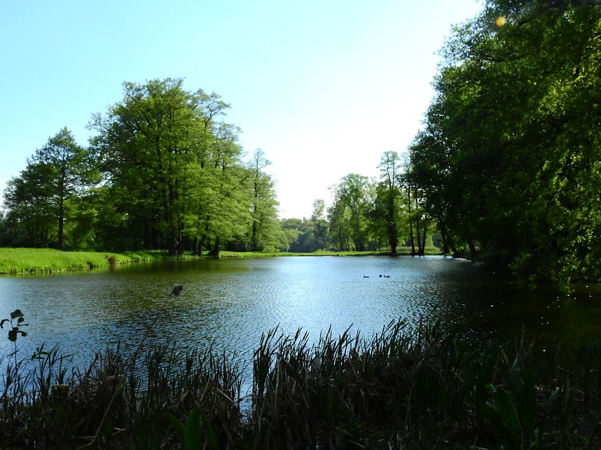 Schloss und Schlosspark Wiesenburg