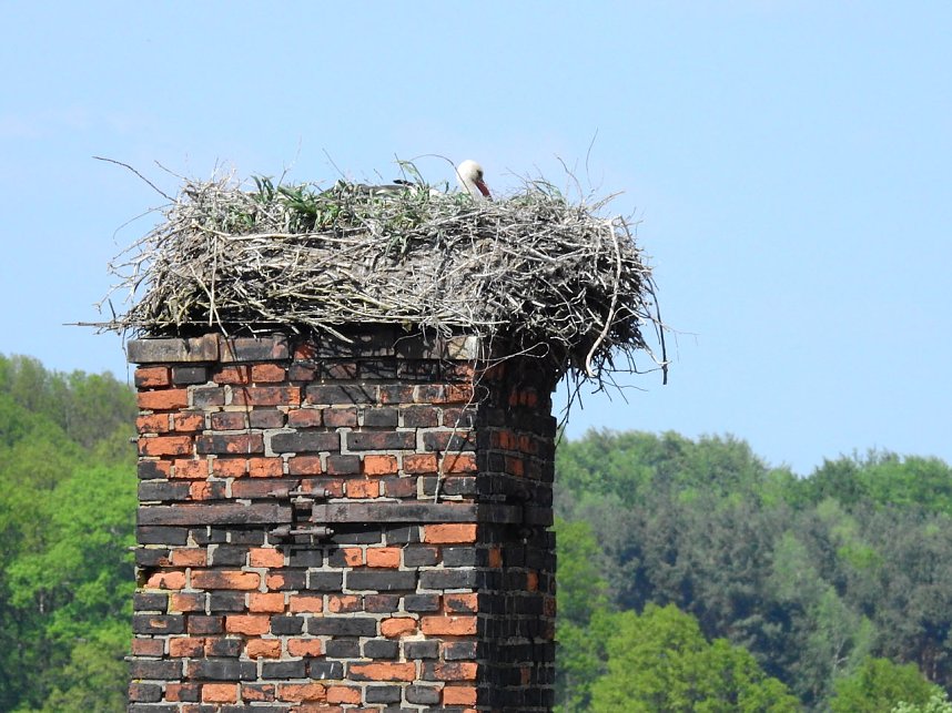 Schloss und Schlosspark Wiesenburg
