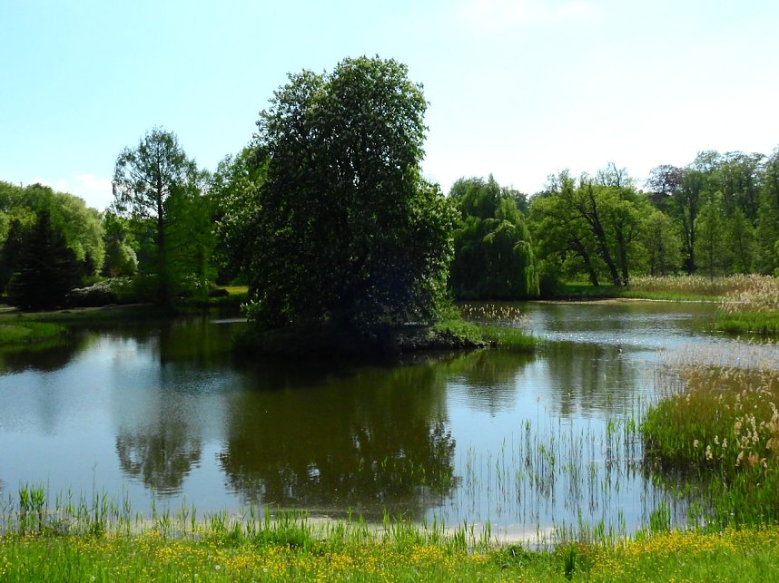 Schloss und Schlosspark Wiesenburg