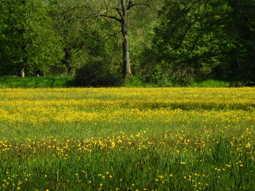 Schloss und Schlosspark Wiesenburg