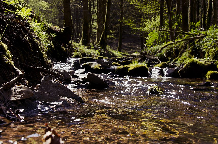 Unterwegs im Naturpark S&uuml;dharz