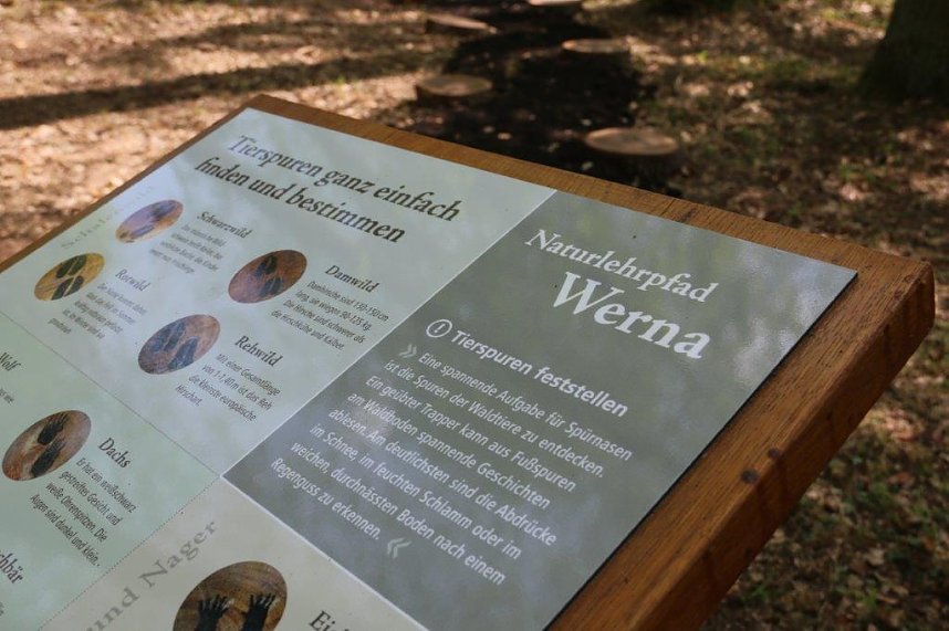 Barfu&szlig;- und Naturlehrpfad &uuml;bergeben und Baum gepflanzt