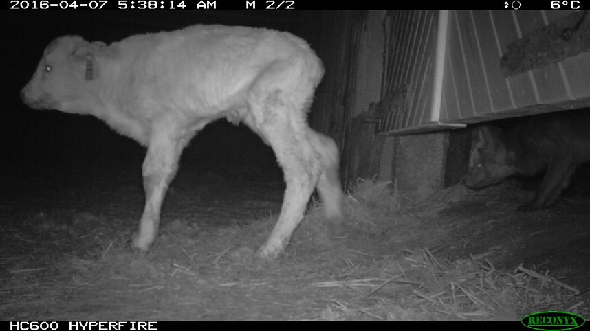 Bilder einer &Uuml;berwachungskamera