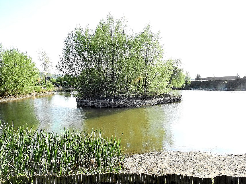 Ossi-Camping am H&uuml;nstein