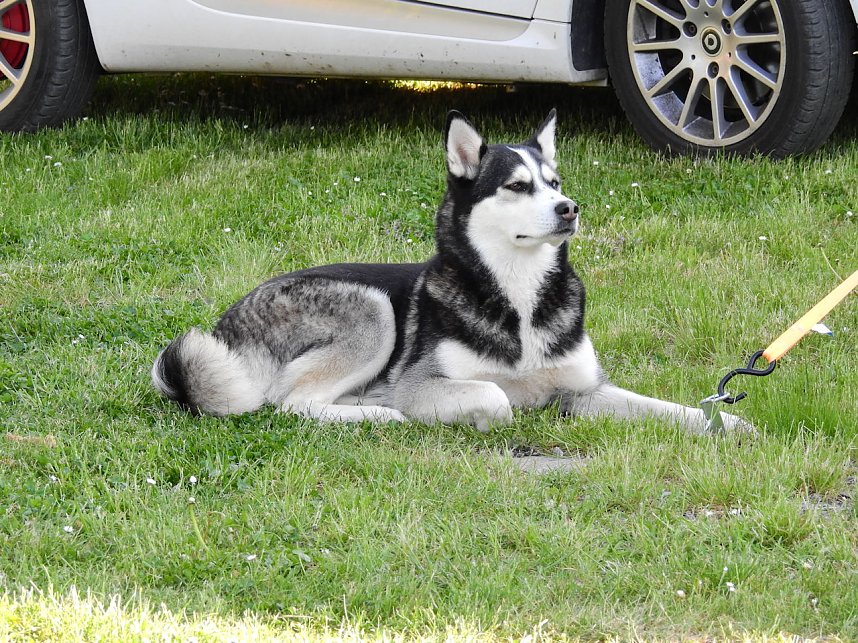 Ossi-Camping am H&uuml;nstein