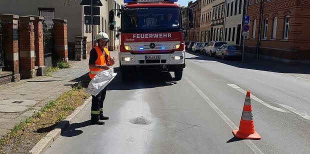 &Ouml;lspuren beseitigt