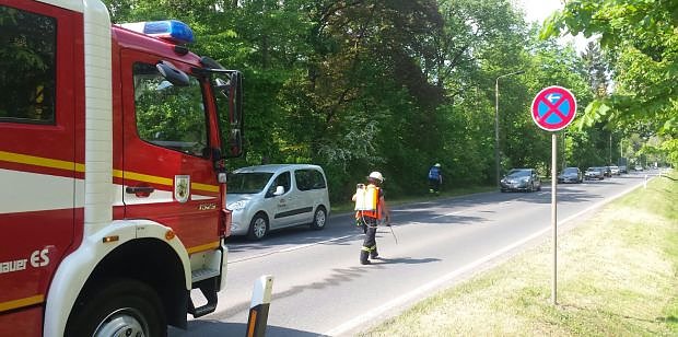 &Ouml;lspuren beseitigt