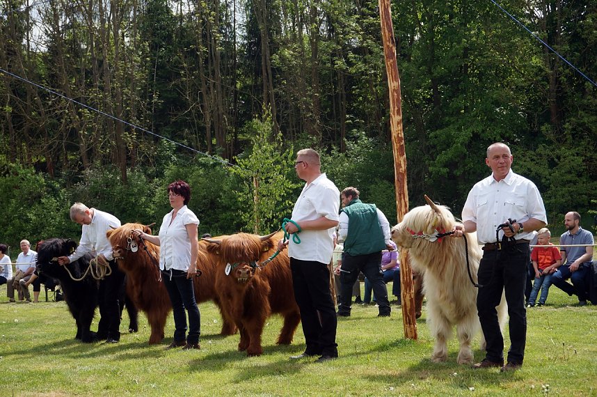 4. Th&uuml;ringer Jungtierschau in Neustadt