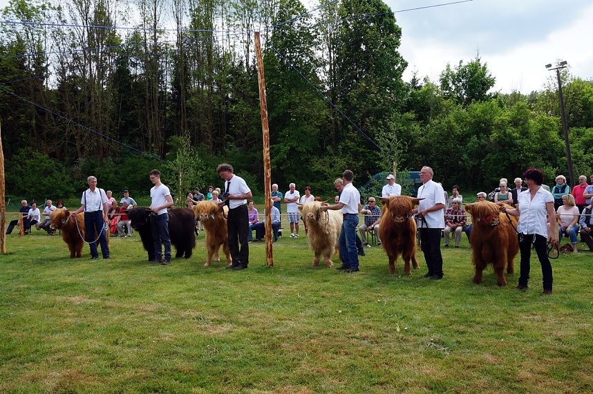 4. Th&uuml;ringer Jungtierschau in Neustadt