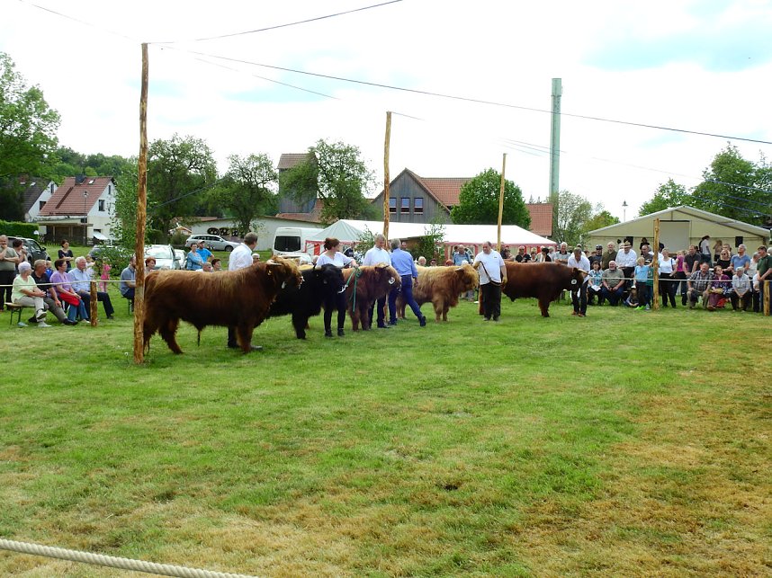 4. Jungtierschau in Neustadt