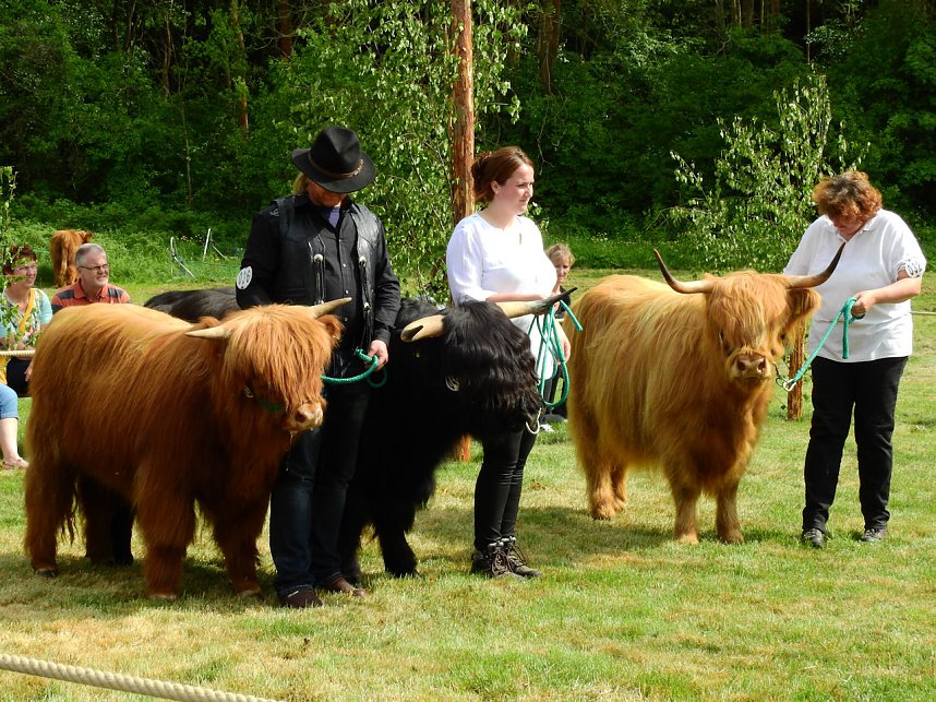 4. Jungtierschau in Neustadt