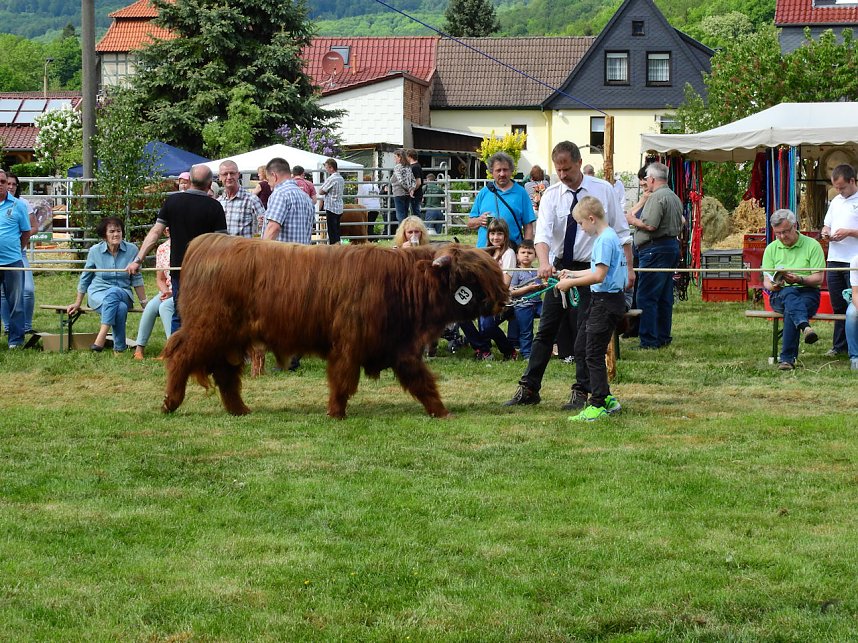 4. Jungtierschau in Neustadt