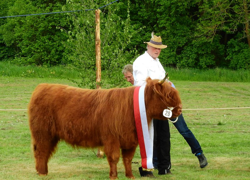 4. Jungtierschau in Neustadt