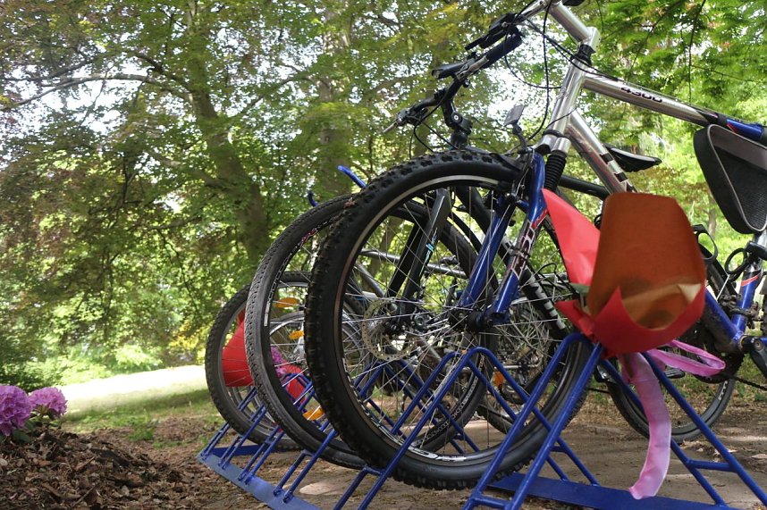 Parkfest in Hohenrode