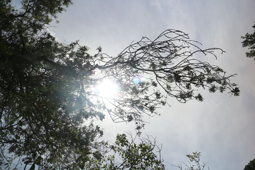 Parkfest in Hohenrode