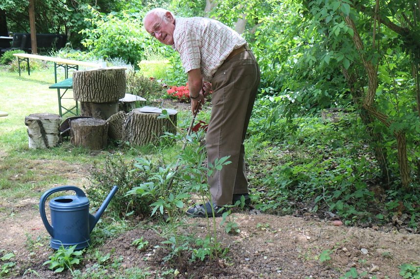 Parkfest in Hohenrode