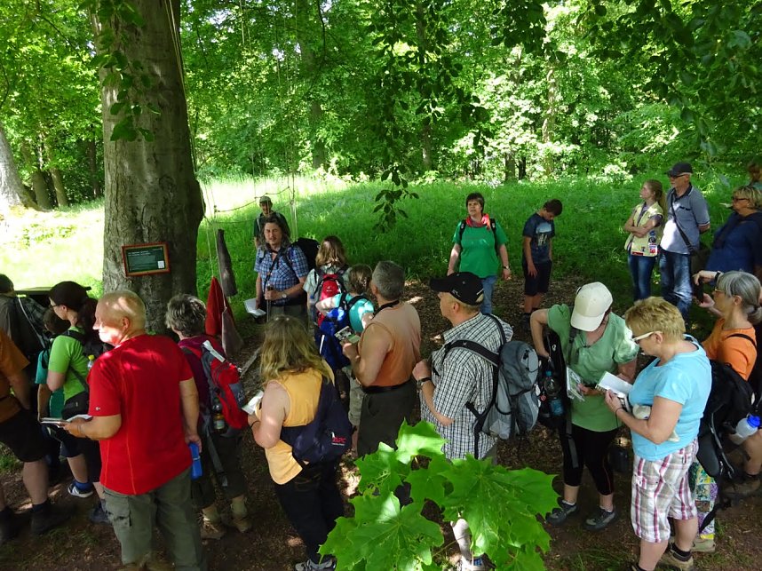 Stempelfieber im S&uuml;dharz