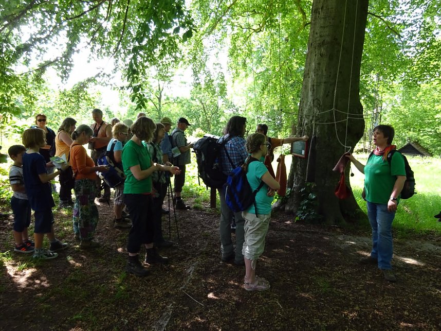 Stempelfieber im S&uuml;dharz