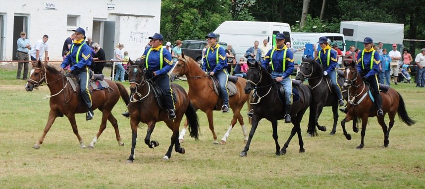 Ponyschau in W&uuml;lfingerode