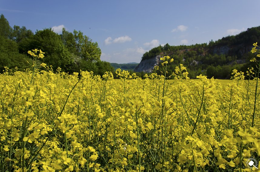 Wanderung im Morgengrauen