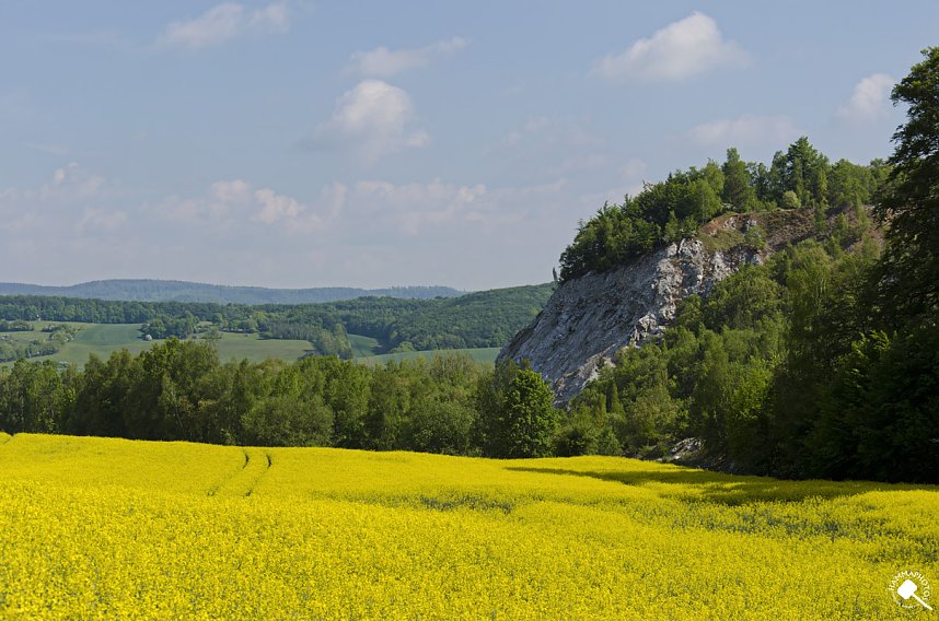 Wanderung im Morgengrauen