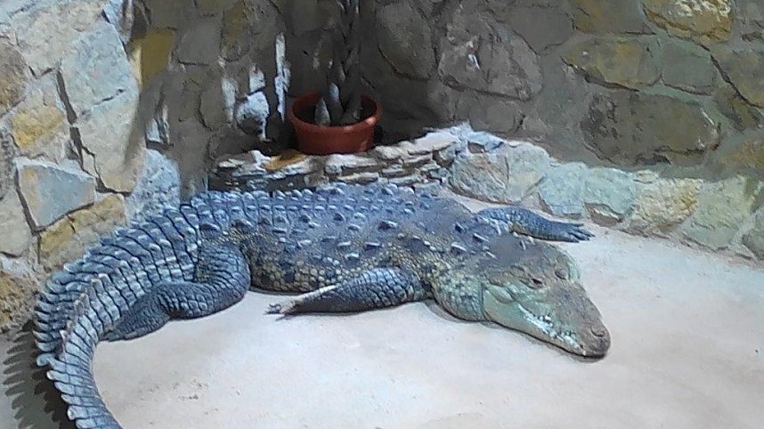 Meeresaquarium in Zella-Mehlis