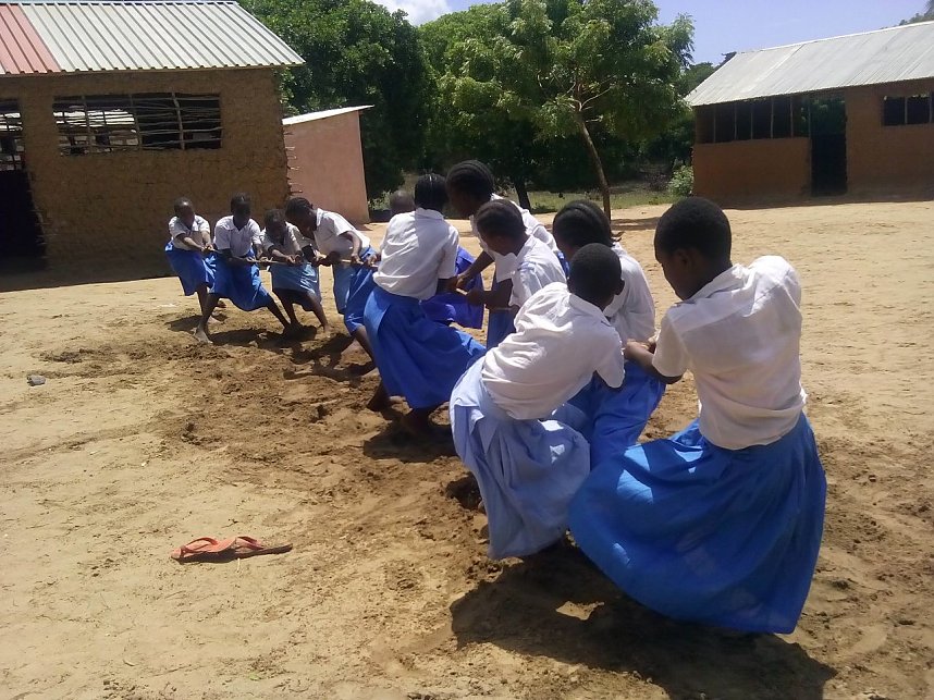 Hierf&uuml;r werden die Spenden verwendet