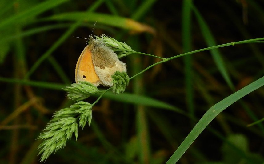 Petersberg zwischen Halle und K&ouml;then