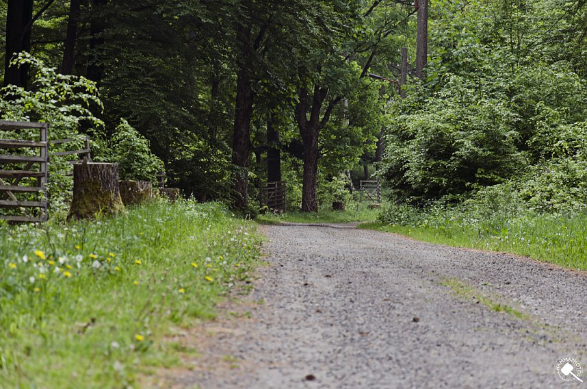 Wandergr&uuml;&szlig;e aus Rothes&uuml;tte