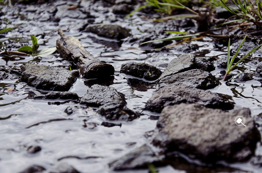 Wandergr&uuml;&szlig;e aus Rothes&uuml;tte