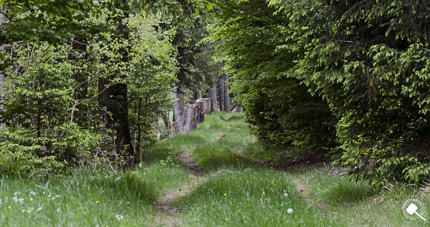 Wandergr&uuml;&szlig;e aus Rothes&uuml;tte