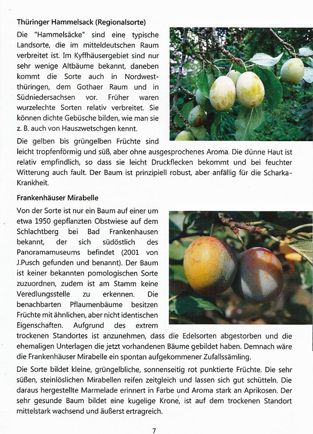 Schon etwas vom Th&uuml;ringer Hammelsack geh&ouml;rt?