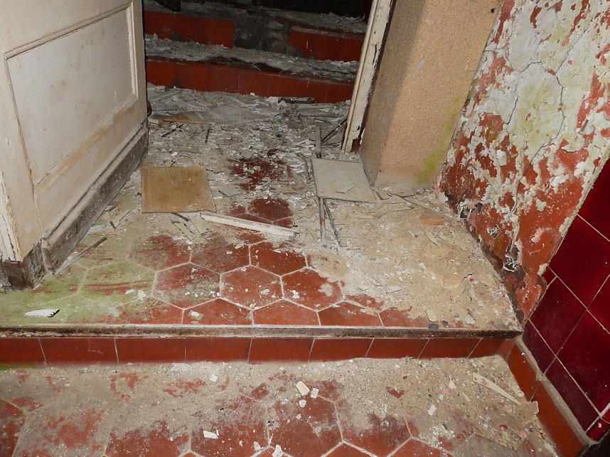 Ehemalige Sanatorien Erholung und Waldpark