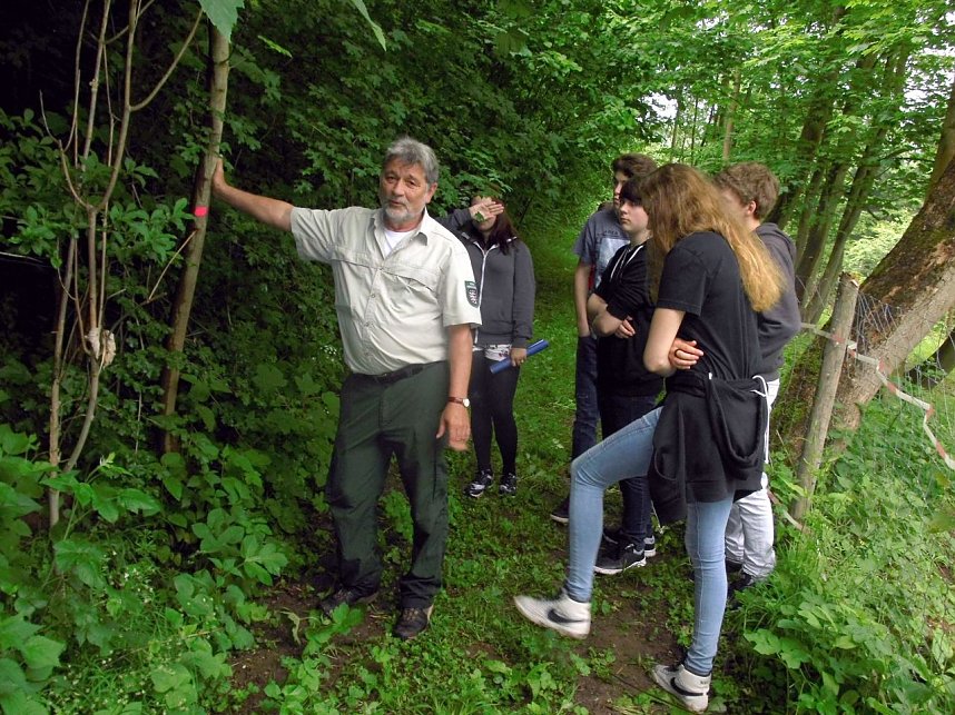Waldjugendtag im Heringer Goldborntal