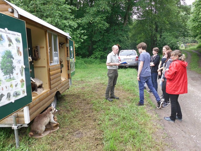 Waldjugendtag im Heringer Goldborntal