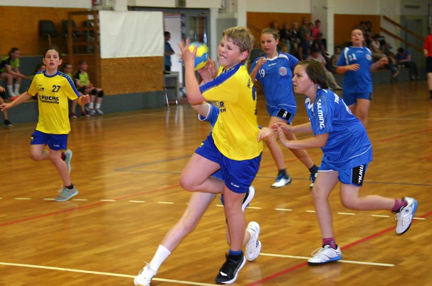 Handball Bezirkspokal Nord weibliche Jugend D