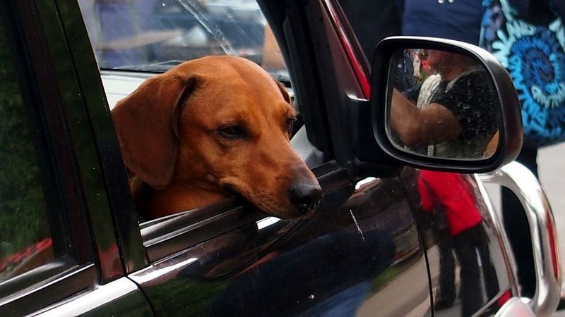 Kunstmarkt steht vor der T&uuml;r