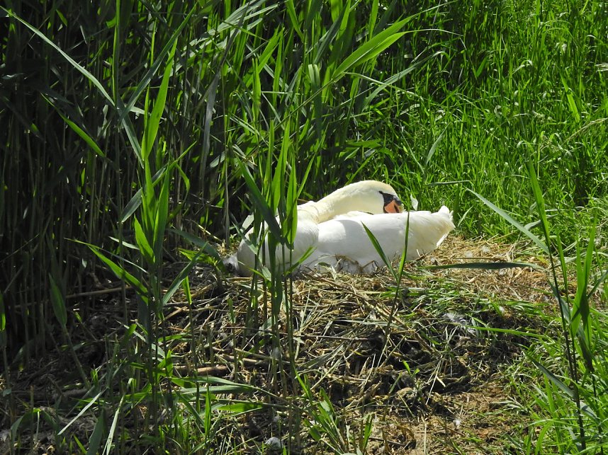 Abstecher in den Schlosspark