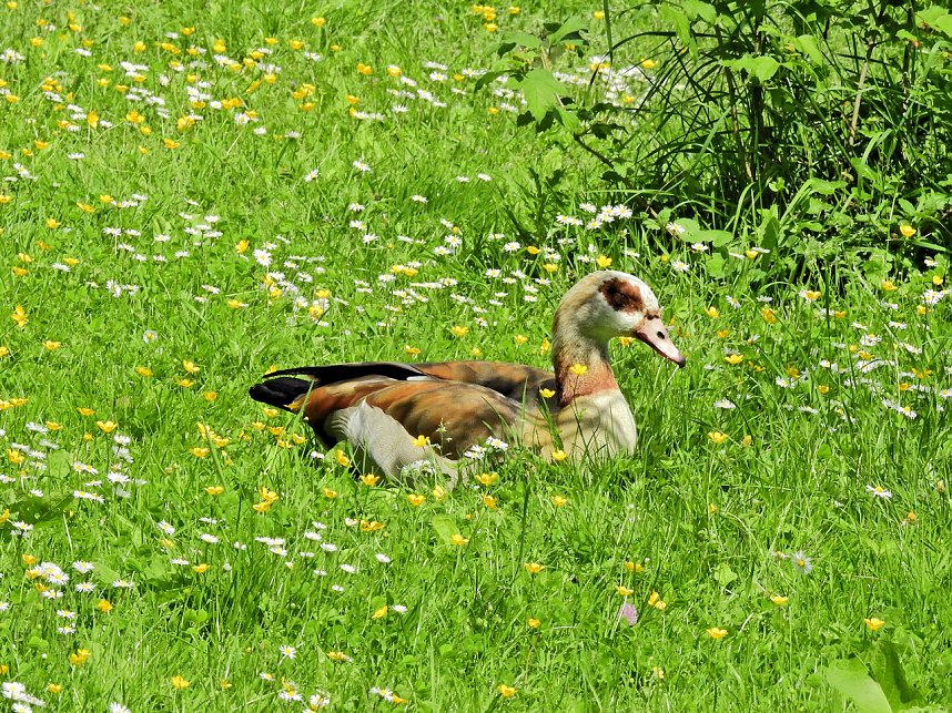 Abstecher in den Schlosspark