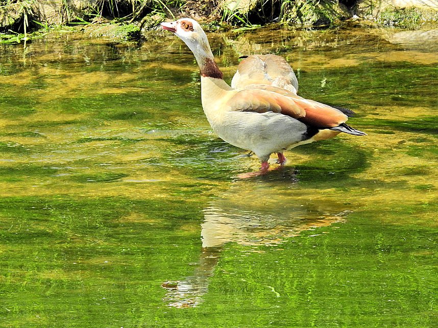 Abstecher in den Schlosspark