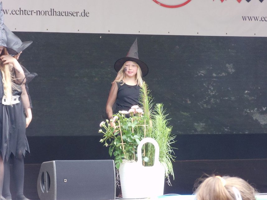 Rolandsfest 2016 - der Samstagmittag