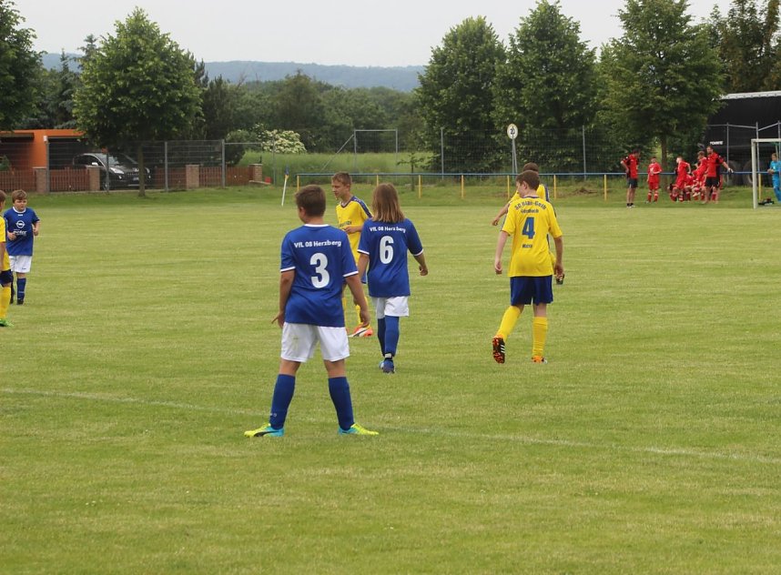 1. teamsportcup 2016 der D - Jugend