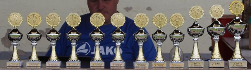 1. teamsportcup 2016 der D - Jugend