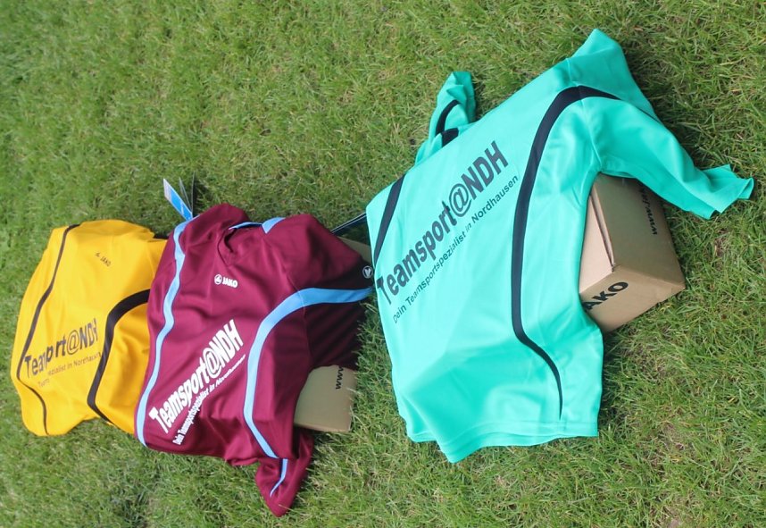 1. teamsportcup 2016 der D - Jugend