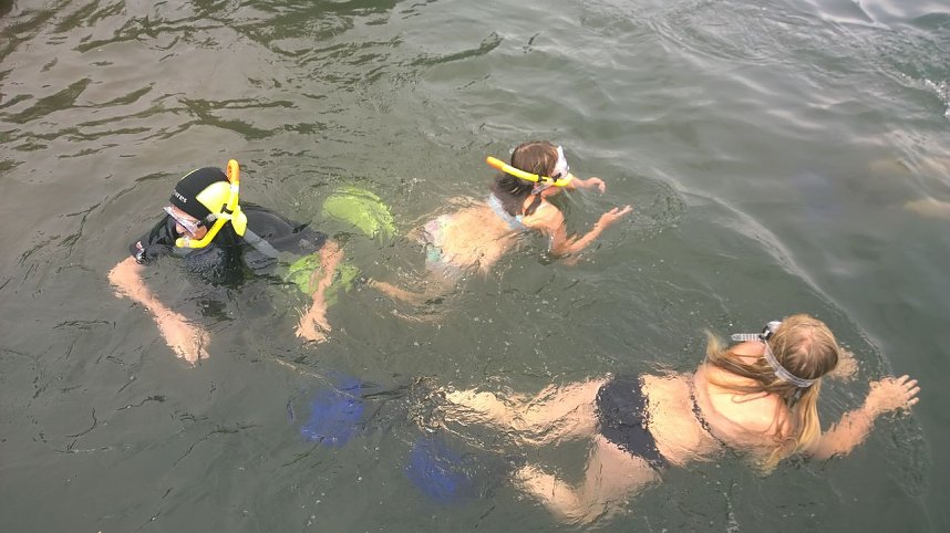 Schnuppertauchen beim TSC Neptun