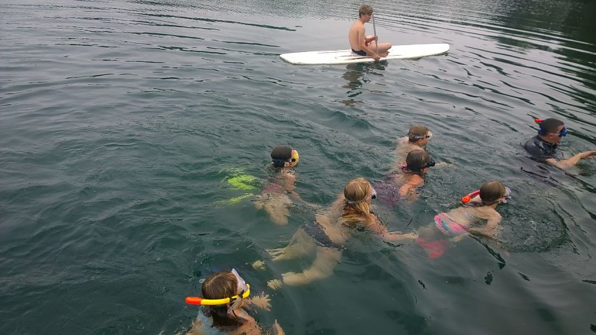 Schnuppertauchen beim TSC Neptun